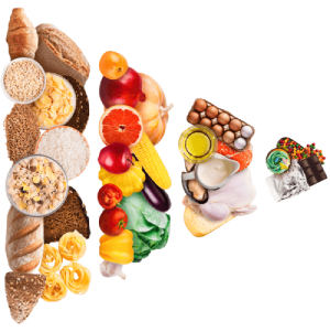 nutrition concept